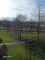 Bied me aan voor honden uitlaten, Ophalen of Verzenden