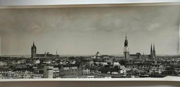 C1000 Delft XXL 59 x 24 cm beschikbaar voor biedingen