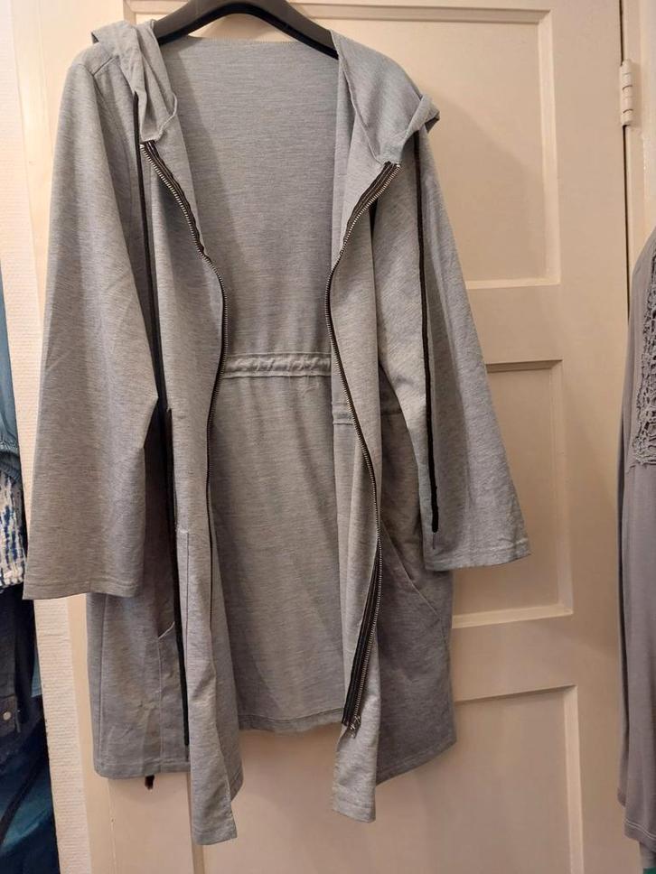 Mooie grijze vest - Maat XL, Kleding | Dames, Truien en Vesten, Ophalen of Verzenden