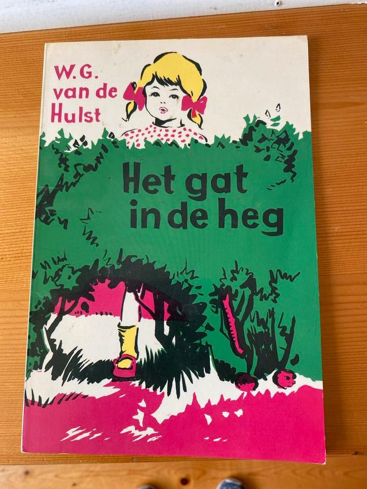 Het Gat in de Heg - W.G. van de Hulst, Boeken, Kinderboeken | Jeugd | onder 10 jaar, Gelezen, Fictie algemeen, Ophalen of Verzenden