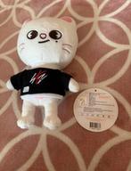 Stray Kids SKZOO Jiniret plush, Ophalen of Verzenden, Zo goed als nieuw, Foto of Kaart