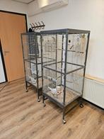 Vogelkooi met vogels/  forpussen., Ophalen of Verzenden, Zo goed als nieuw, Vogelkooi