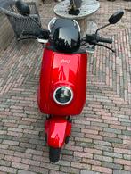 NIU N1S elektrische scooter - 2058 km!!, Ophalen, Zo goed als nieuw, Elektrisch, Overige merken
