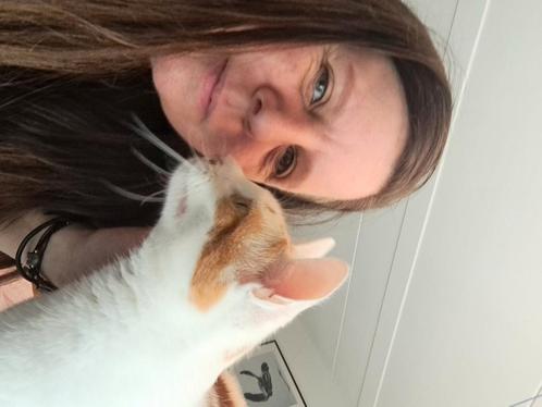 Franny the catnanny, kattenoppas Culemborg, Dieren en Toebehoren, Katten en Kittens | Overige Katten