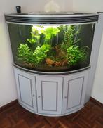 hoekaquarium, Dieren en Toebehoren, Vissen | Aquaria en Toebehoren, Ophalen, Gebruikt, Leeg aquarium
