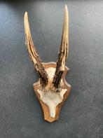 Reegewei, Ophalen of Verzenden