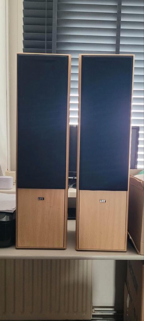 Set zuil-luidsprekers LIFE L5454 – 250 Watt, Audio, Tv en Foto, Luidsprekers, Zo goed als nieuw, Front, Rear of Stereo speakers