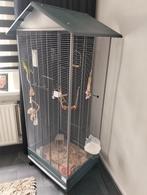 Kakariki met voileir, Dieren en Toebehoren, Ophalen, Nieuw, Kunststof, Volière