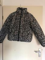 Vila jas, Kleding | Dames, Jassen | Winter, Vila, Ophalen of Verzenden, Nieuw, Maat 38/40 (M)