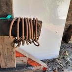 Stalringen, Geslacht onbekend, Schaap, 6 jaar of ouder