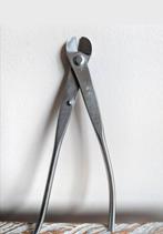 Bonsai draadtang, Tuin en Terras, Planten | Bomen, Bloeit niet, Halfschaduw, Minder dan 100 cm, Overige soorten