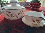Stonehenge Midwinter Servies Delen Vintage, Huis en Inrichting, Ophalen of Verzenden, Zo goed als nieuw