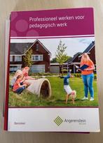 Professioneel werken pedagogisch werk - Angerenstein, Edu Actief, Ophalen of Verzenden, Zo goed als nieuw, MBO
