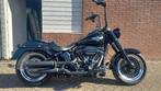 Harley Davidson, Motoren, Motoren | Harley-Davidson, 2 cilinders, Particulier, Meer dan 35 kW, Cruise Control
