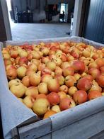 Papple (appelpeer), Diversen, Ophalen of Verzenden