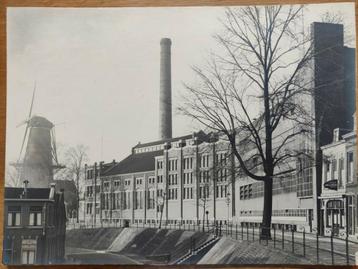 A199 Dordrecht Noordendijk Centrale Molen Café Billard 1920 beschikbaar voor biedingen