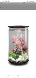Biorb aquarium, Ophalen, Nieuw, Leeg aquarium