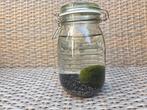 Mosbol Aquarium, Huis en Inrichting, Ophalen, Overige soorten, Minder dan 100 cm