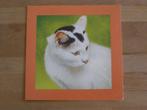Dubbele kaart met afbeelding van poes / kat; Removos, Diversen, Ophalen of Verzenden, Nieuw