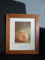 Schilderij ANNE GEDDES - Baby op Pompoen 25x30 cm, Ophalen of Verzenden, Zo goed als nieuw, Wanddecoratie