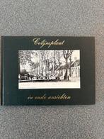 COLIJNSPLAAT IN OUDE ANSICHTEN, Boeken, Ophalen of Verzenden, C POLS, 20e eeuw of later, Gelezen