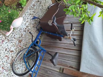 Bakfiets met babboe peuterstoel beschikbaar voor biedingen