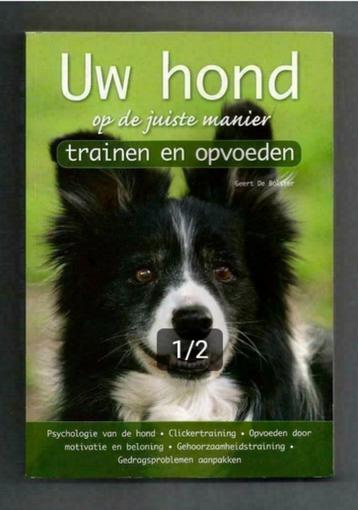 Uw hond op de juiste manier trainen en opvoeden - De Bolster beschikbaar voor biedingen