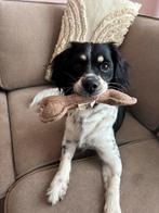 Hondenoppas aangeboden, Dieren en Toebehoren, Ophalen, Nieuw