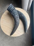 Waterbuffel Hoorns Gewei Decoratie, Ophalen of Verzenden, Gebruikt