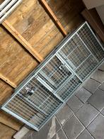 Puppyren van Corton, Dieren en Toebehoren, Hondenhokken, Ophalen, Gebruikt, 65 tot 100 cm