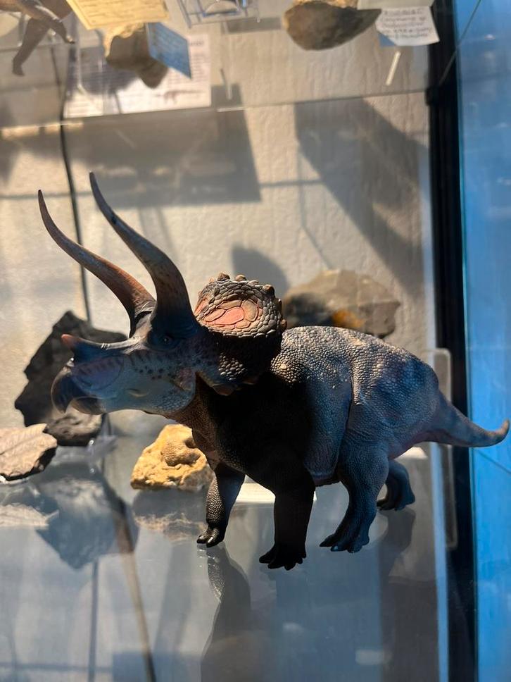 Haolonggood Triceratops 1:35 model, Verzamelen, Poppetjes en Figuurtjes, Zo goed als nieuw, Ophalen of Verzenden