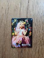Efteling magneet, Ophalen of Verzenden, Zo goed als nieuw, Overige typen