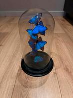 Opgezette vlinders onder een glazen stolp, Ophalen, Zo goed als nieuw