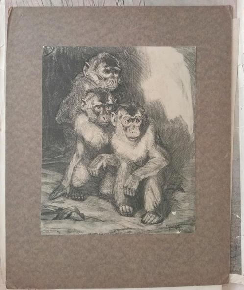 Cornelis Jan Mension - Groep Aapjes - Steendruk, Antiek en Kunst, Kunst | Litho's en Zeefdrukken, Ophalen of Verzenden