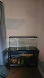 Gerbil of hamster terrarium 100  x 40 x 50 hoog, Dieren en Toebehoren, Zo goed als nieuw, 75 tot 110 cm, Ophalen, Minder dan 60 cm