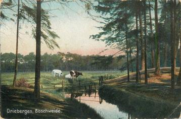 (388-358-047) Driebergen-Rijsenburg Boschweide beschikbaar voor biedingen