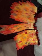 Vleugels carnaval, Ophalen, Zo goed als nieuw, Maat 34 (XS) of kleiner, Carnaval