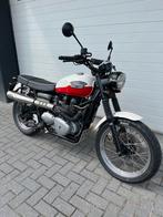 Triumph Scrambler 900 - met lage km stand !, 7715PV, 2 cilinders, Bedrijf, 900 cc