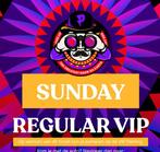 PAASPOP Regular VIP TICKET zondag, Tickets en Kaartjes, Evenementen en Festivals, Eén persoon