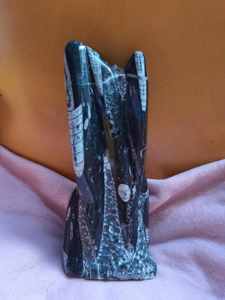 Fossiele Sculptuur - Orthoceras pijlstaart inktvis 2135 gram, Verzamelen, Mineralen en Fossielen, Ophalen of Verzenden