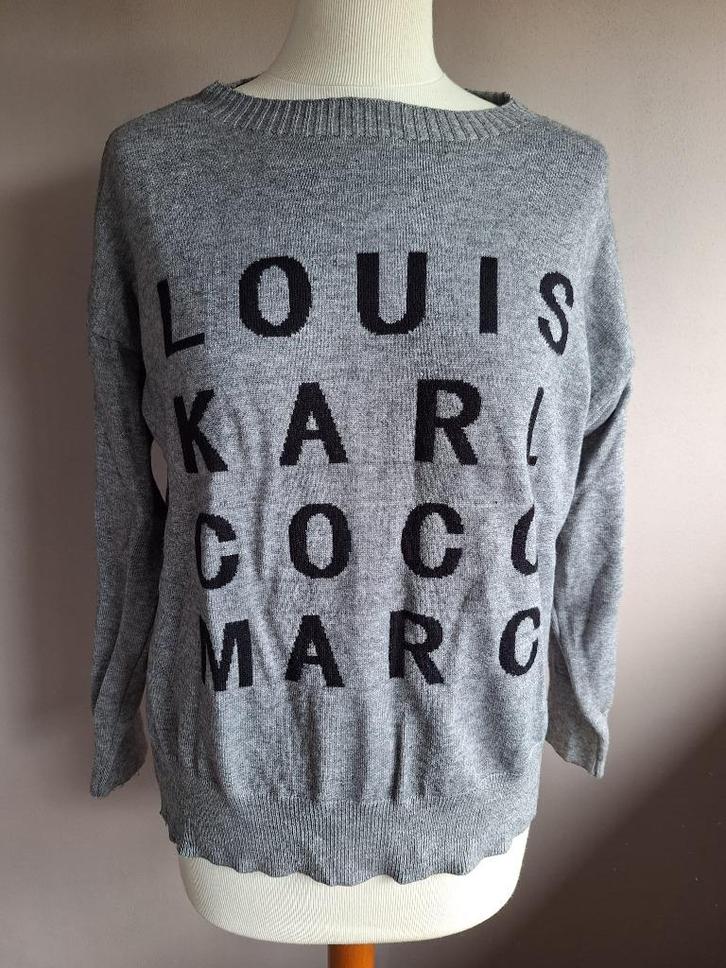 Nieuwe grijze stretch trui tekst van Tan, maat L/XL, Kleding | Dames, Truien en Vesten, Nieuw, Maat 42/44 (L), Grijs, Ophalen of Verzenden