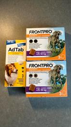 Honden kauwtabletten, doodt vlooien en teken, Ophalen of Verzenden, Hond