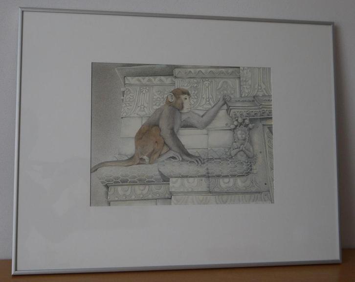 Originele aap tekening gesigneerd 1990., Antiek en Kunst, Kunst | Tekeningen en Foto's, Ophalen