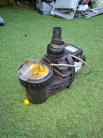 (Zwembad)pomp Speck Badu Picco, Ophalen of Verzenden, Gebruikt, Zwembadpomp