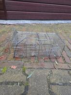 Vangkooi, Ophalen of Verzenden, Kooi, Minder dan 60 cm