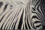 Canvas Zebra, Ophalen, Zo goed als nieuw