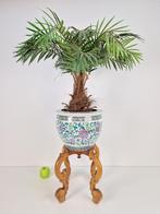 Vintage Chinese porselein bloempot & standaard & kunstplant, 25 tot 40 cm, Binnen, Rond, Gebruikt