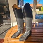Anky (Petrie) paardrijlaarzen, Dieren en Toebehoren, Ophalen, Dressuur, Dames, Zo goed als nieuw