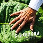 Cigaragua - Marcel Langedijk & Chris Stevenet 9789078668381, Ophalen of Verzenden, Zo goed als nieuw, Marcel Langedijk, Noord-Amerika