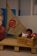 Moana / Vaiana verjaardagsdecoratie, Ophalen, Zo goed als nieuw, Versiering, Verjaardag